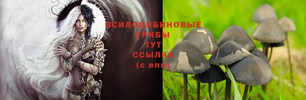 мескалин Лихославль