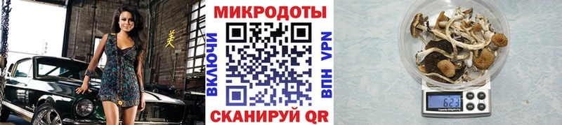 хочу   Лысково  Псилоцибиновые грибы MAGIC MUSHROOMS 