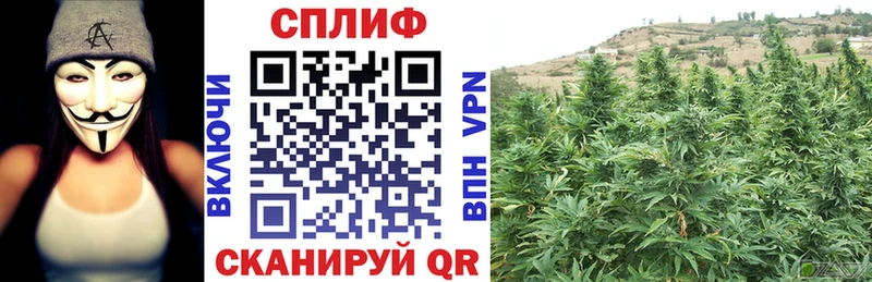 Конопля SATIVA & INDICA продажа наркотиков Лысково